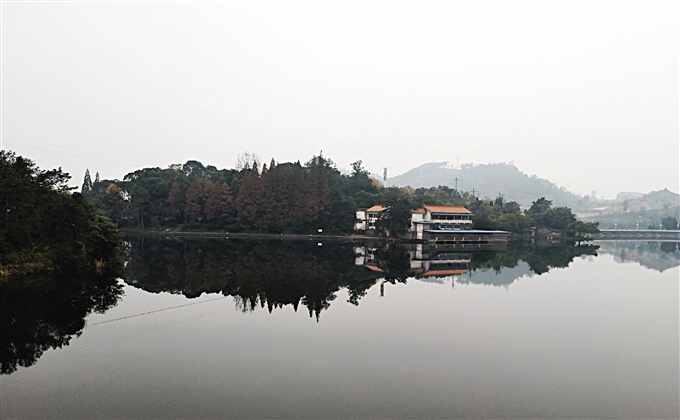 蓮湖初冬---何建民