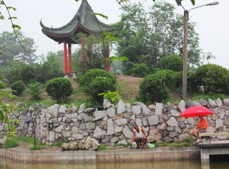 雨中趣園