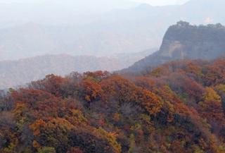 萬山紅遍 周元元攝影作品