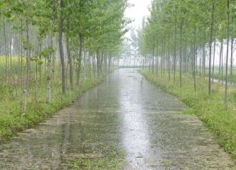 雨后清歇 任利娟攝影作品