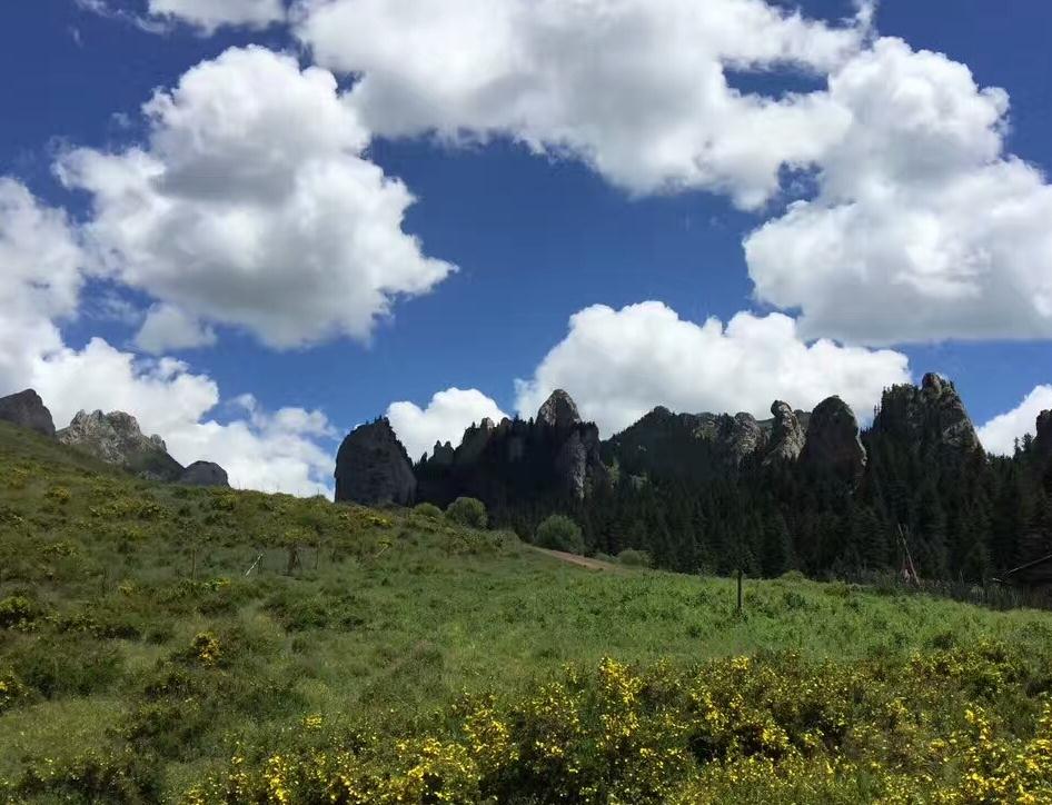 藍天 白云 草地