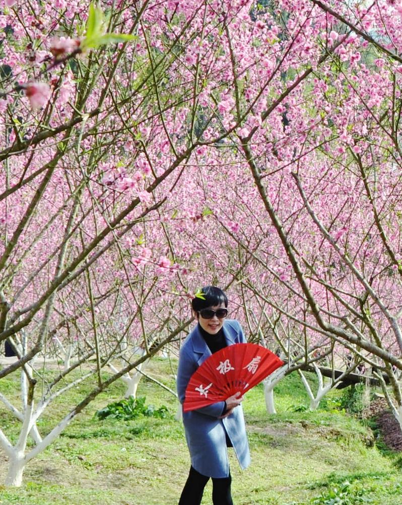 人面桃花相映紅