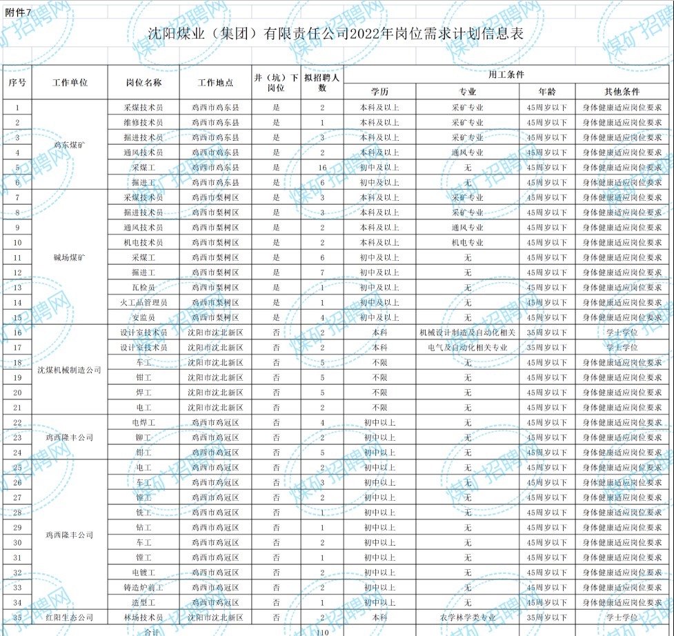 遼寧省能源產(chǎn)業(yè)控股集團有限責任公司所屬沈陽煤業(yè)(集團)有限責任公司招聘公告